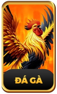 Đá gà 58win