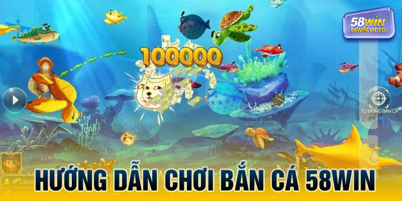 Hướng dẫn bạn cách chơi bắn cá 58Win đơn giản nhất