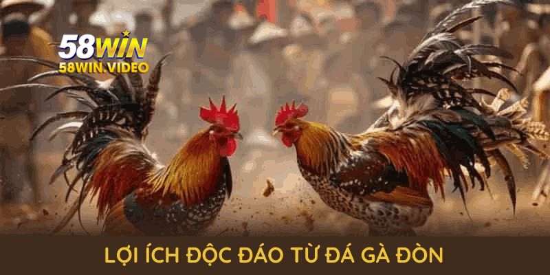 Tận hưởng những lợi ích độc đáo từ đá gà đòn tại 58Win