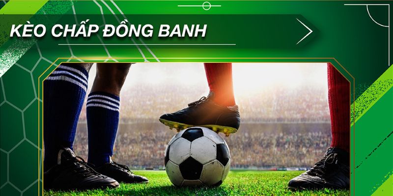 Bí kíp sẽ nâng cao xác suất nhận thưởng cho bạn