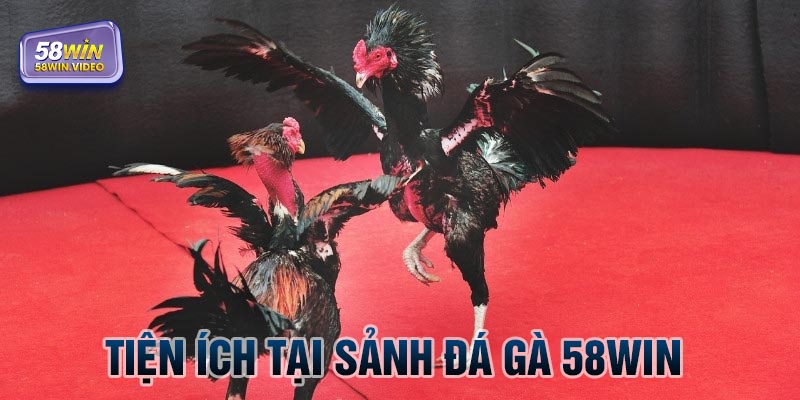 Nhiều tiện ích công nghệ cao tại sảnh đá gà 58Win