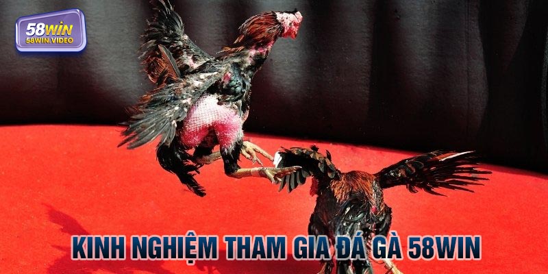 Vận dụng những kinh nghiệm từ chuyên gia 58Win
